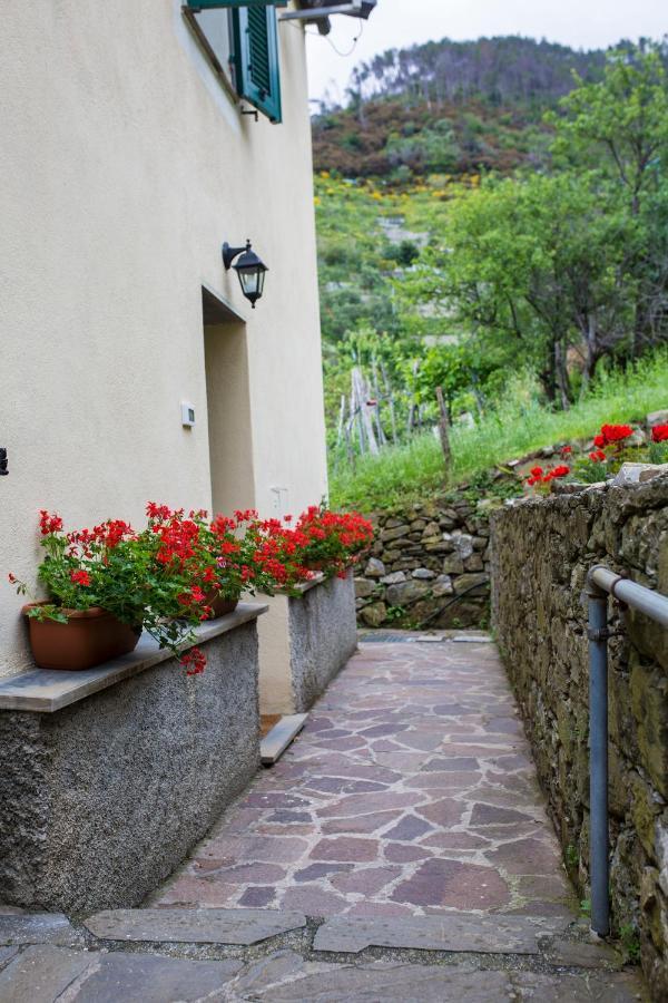 Casa Vacanze Tra Le Mura Levanto Buitenkant foto