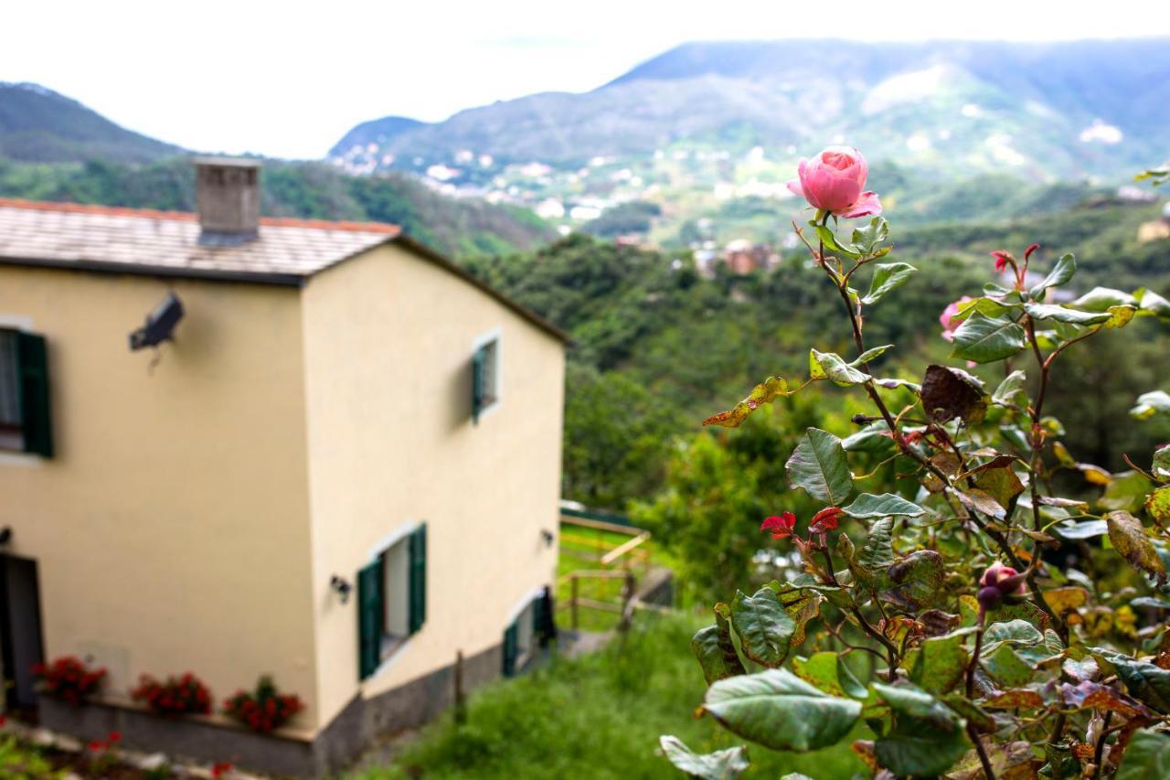 Casa Vacanze Tra Le Mura Levanto Buitenkant foto